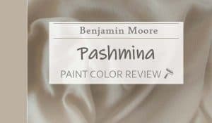 bm pashmina featured image