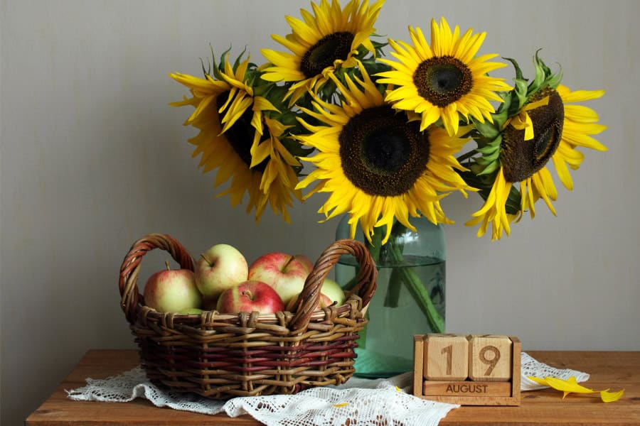 bright sunflower arrangement on table bright sunflower arrangement on table