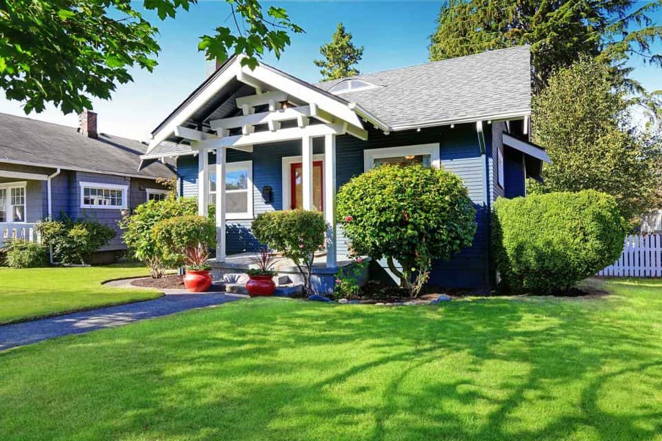 Why Dethatching Your Lawn Makes for a Much Healthier Yard - KnockOffDecor