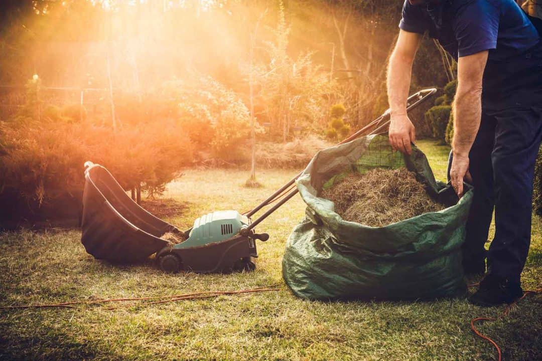 Why Dethatching Your Lawn Makes for a Much Healthier Yard - KnockOffDecor