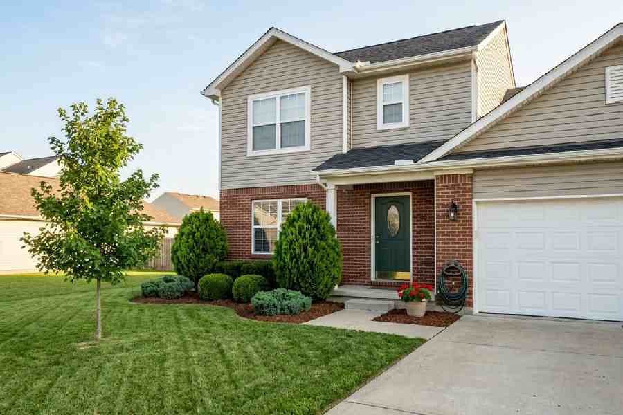 everyday suburban home evergreen shrubs