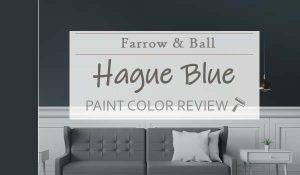 fb hague blue featured image