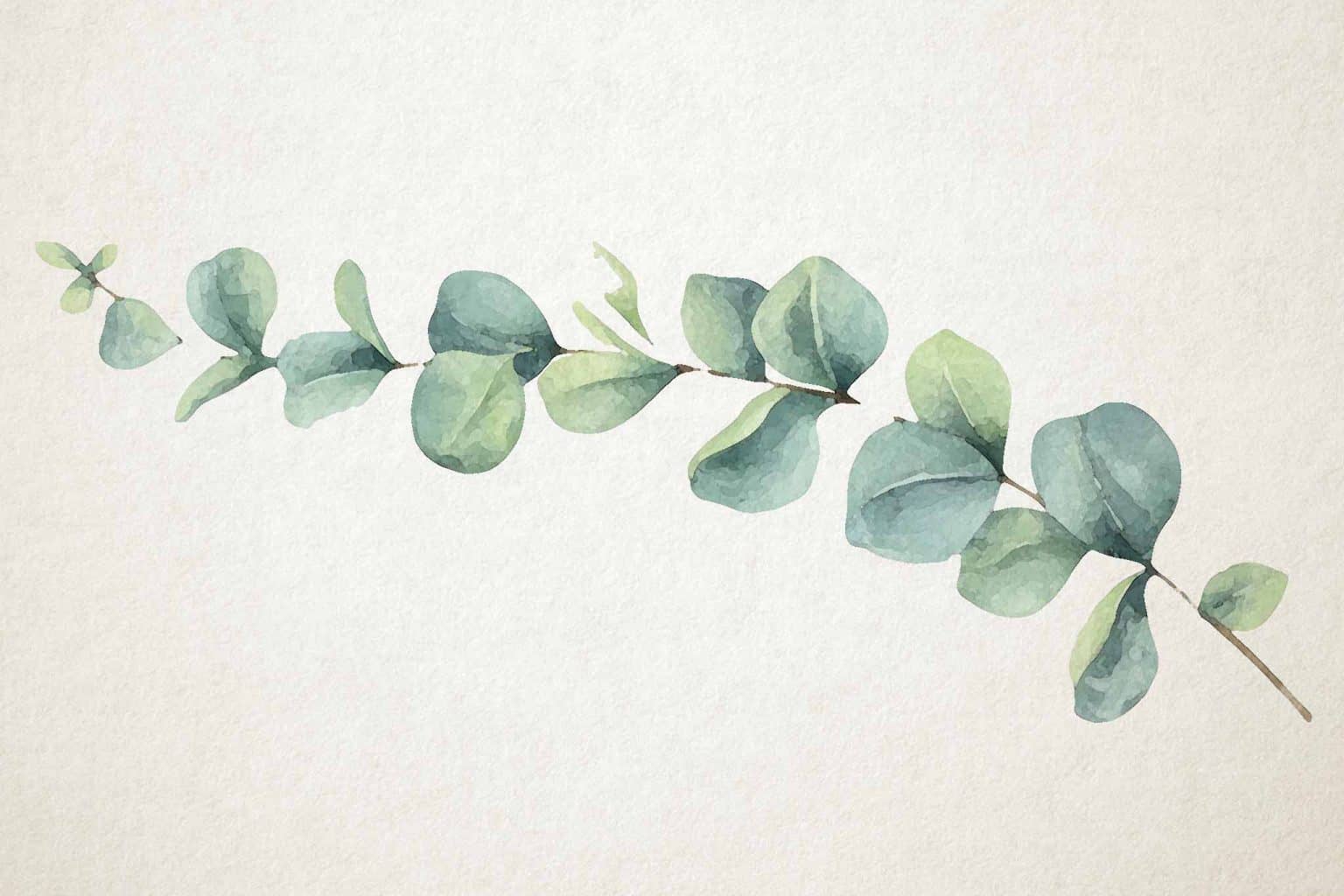 Watercolor Eucalyptus Paintings That Will Stimulate Your Senses