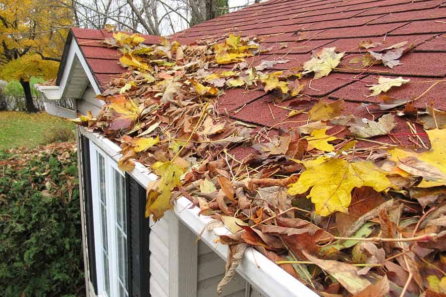 leaves piled on home roof