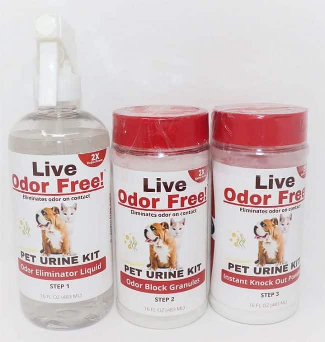 How to Remove Dog or Cat Urine Odor from Concrete for GOOD