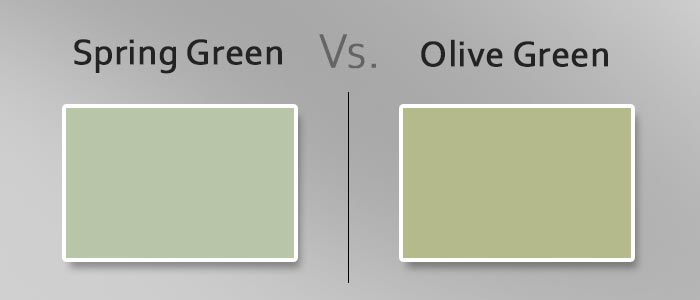 What Color is Sage? So Much More Than Just a Green - KnockOffDecor.com