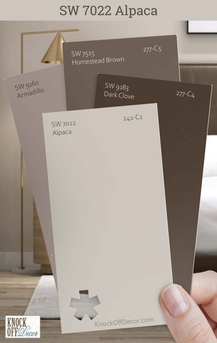 Sherwin Williams Alpaca SW 7022 Review: A Natrual Looking Greige Color ...