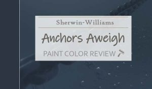 sw anchors aweigh featured image