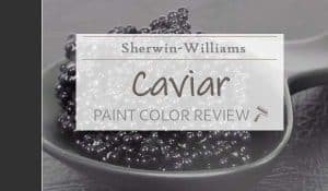 sw caviar color review