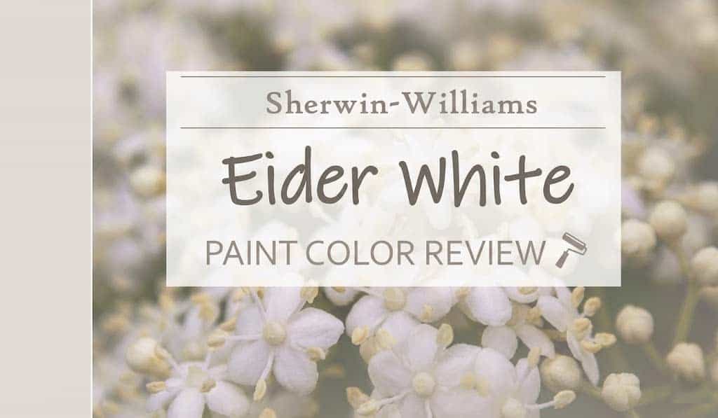sw eider white hdr