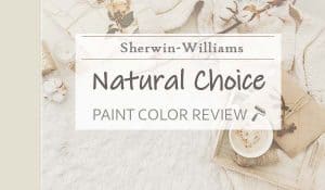 sw natural choice paint color review