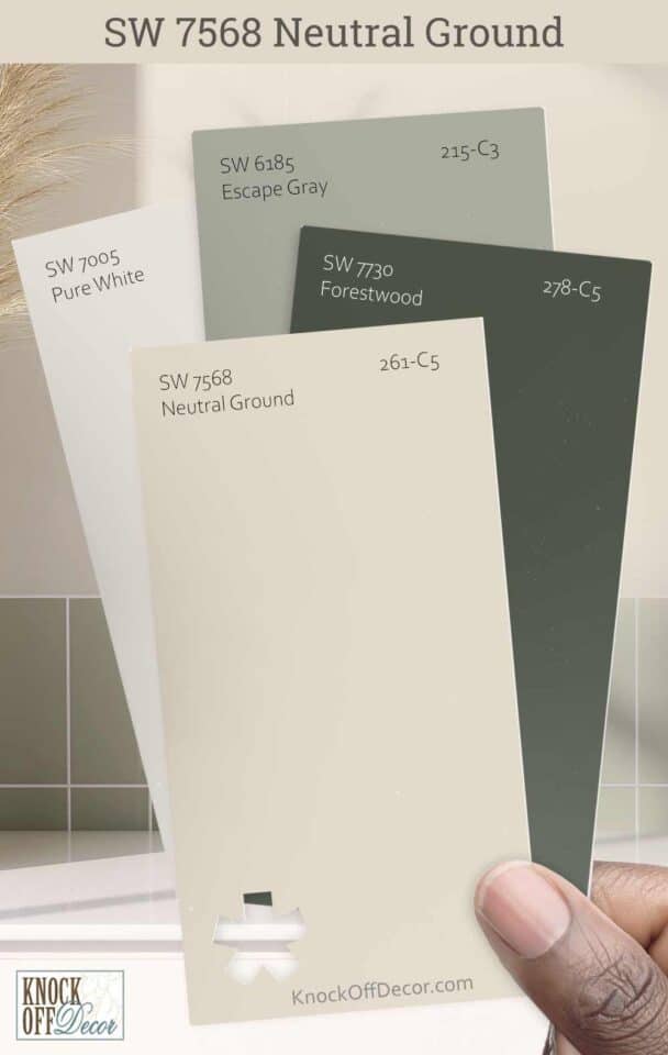 Sherwin Williams Neutral Ground Review – The Warm Pastel to Cozy Your ...