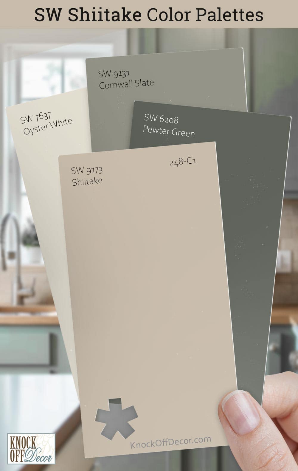 sw shiitake kitchen ja165