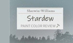 sw stardew featured image