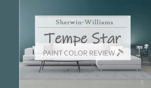 sw tempe star featured image