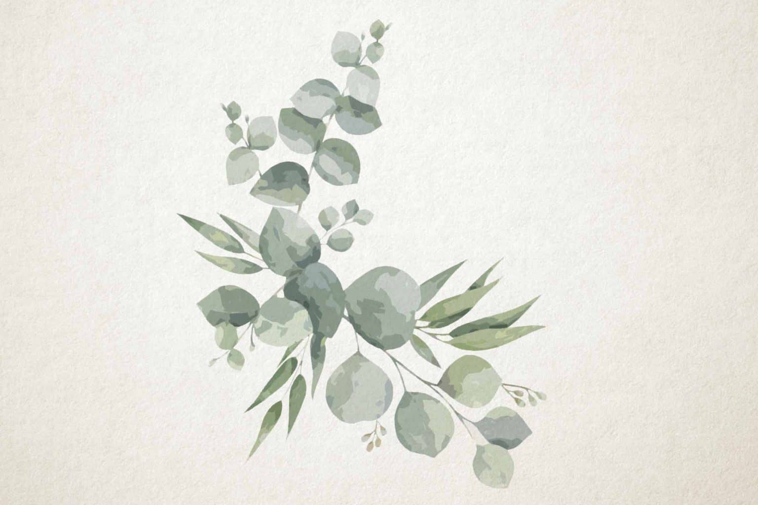 Watercolor Eucalyptus Paintings That Will Stimulate Your Senses